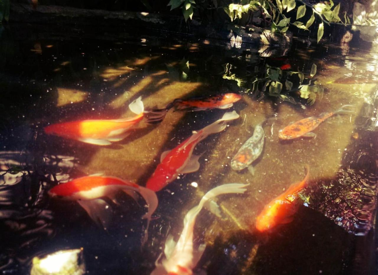 Pondok Ayu Homestay Ubud Eksteriør bilde